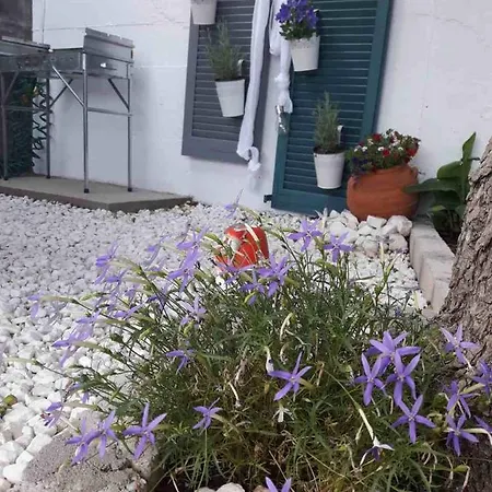 Aegli House